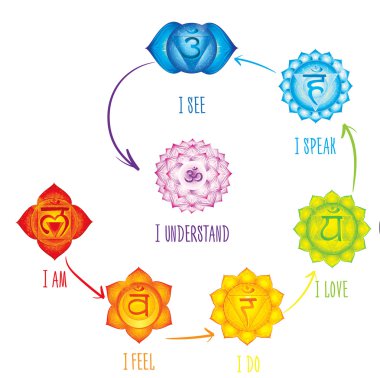 Çakralar anlamları. Kullanılan Hinduizm, Budizm ve Ayurveda çakralar kavramı. Tasarımı için yoga ve Hindistan ile ilgili. Vektör Sahasrara, Ajna, Vissudha, Anahata, Manipura, Svadhisthana, Muladhara