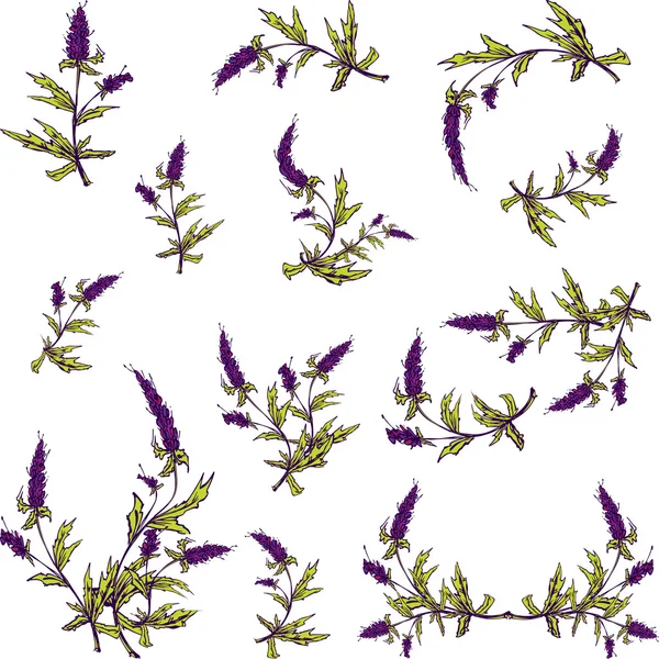 Lente lavendel vector geïllustreerd afbeeldingenset voor uw ontwerp — Stockvector