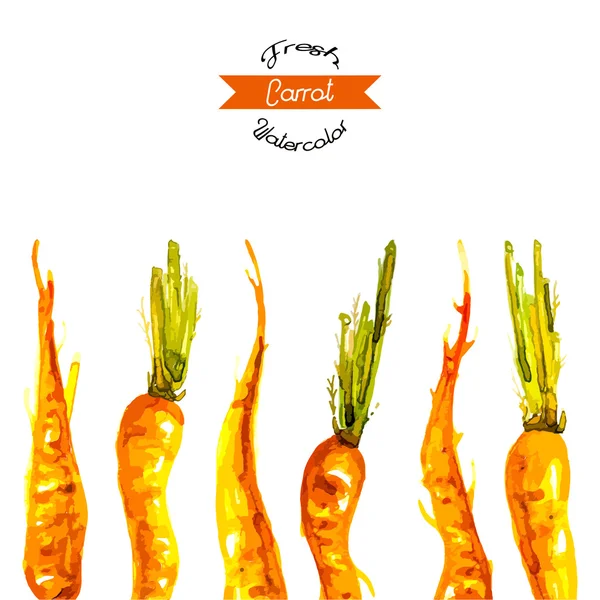 Vecteur illustré aquarelle carottes fond — Image vectorielle