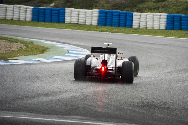 Fernando Alonso 2015 — Zdjęcie stockowe