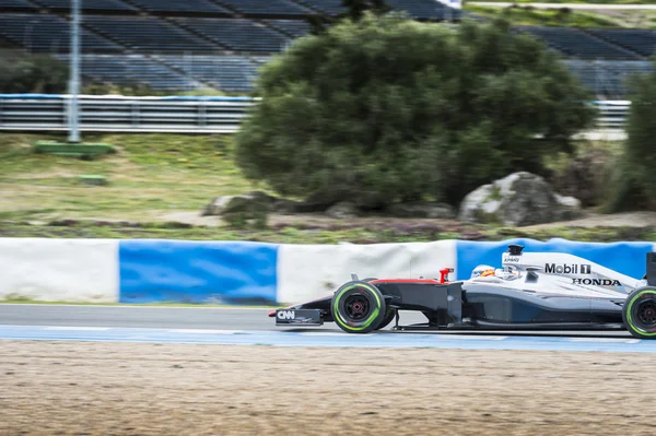 Fernando Alonso 2015 — Foto Stock