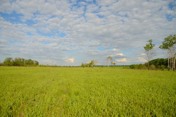 Paisagem Plana Nuvens Flutuando Sobre Campo Verão — Fotografia de Stock