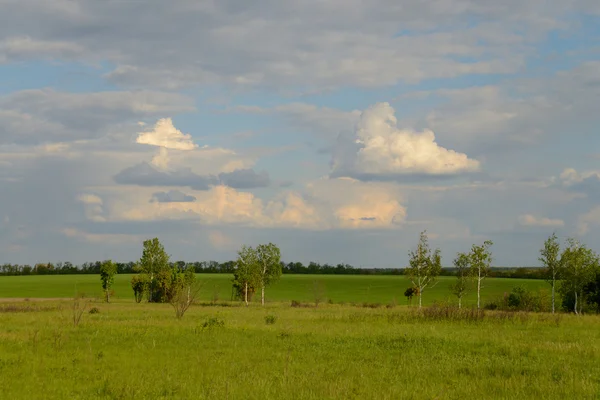 Paisagem Plana Nuvens Flutuando Sobre Campo Verão — Fotografia de Stock