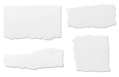 Beyaz zemin üzerinde beyaz yırtık kağıt parçaları koleksiyonu. Her biri ayrı ayrı çekiliyor.