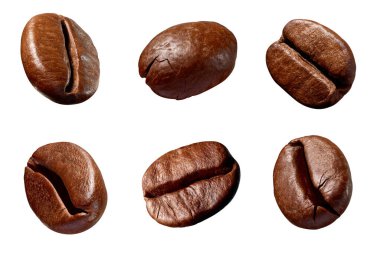 Beyaz arka planda çeşitli kahve çekirdekleri koleksiyonu