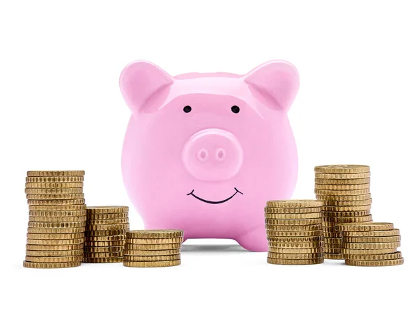 Χρηματοδότηση νομισμάτων εξοικονόμηση χρημάτων pigggybank επιχειρηματικές επενδύσεις τραπεζική piggy τράπεζα χοιροειδών πλούτο — Φωτογραφία Αρχείου