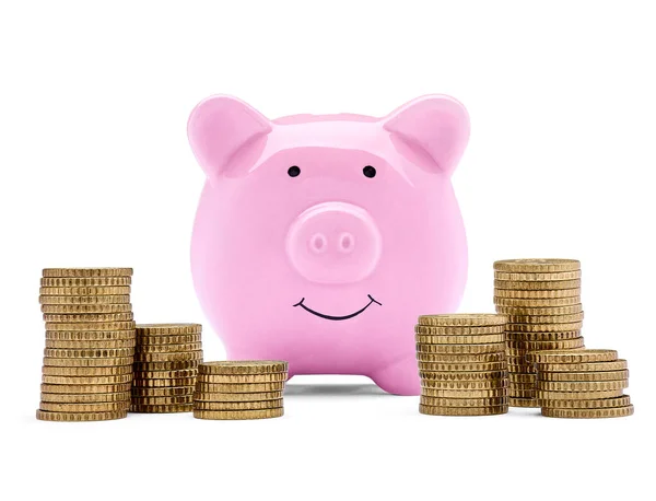 Coin finance saving money piggybank business investment banking piggy bank pig wealth — Stock Photo, Image