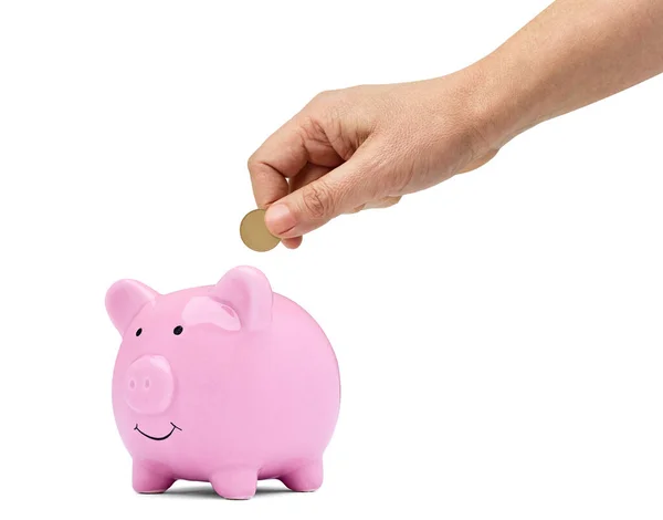 Keuangan koin menyimpan uang piggybank investasi bank piggy kekayaan babi bank — Stok Foto