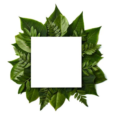 Yaprak çiçeği tebrik kartı not kağıttan çerçeve arkaplan düz çiçek deseni davetkar bahar yeşil yatıyordu