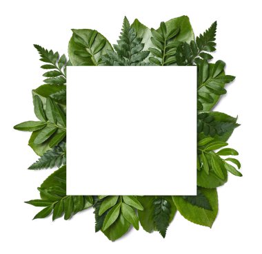 Yaprak çiçeği tebrik kartı not kağıttan çerçeve arkaplan düz çiçek deseni davetkar bahar yeşil yatıyordu