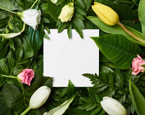 Blatt Blume Grußkarte Notiz Papier Rahmen Hintergrund flach legen florales Layout Einladung Natur Frühling grün — Stockfoto