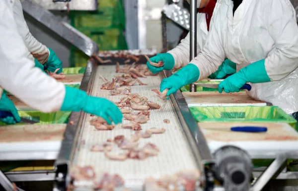 Kycklingköttfabrik livsmedelsindustri fjäderfäproduktion fågel — Stockfoto