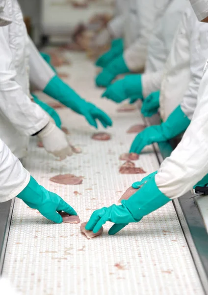 Kippenvlees fabriek voedingsindustrie gevogelte dierlijke productie vogel — Stockfoto