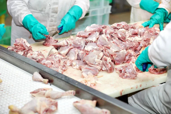 Pollo carne fábrica industria alimentaria aves de corral producción animal aves —  Fotos de Stock