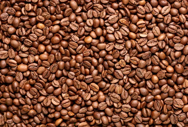 Kahve çekirdeği kavrulmuş kafein espresso tohumu. — Stok fotoğraf