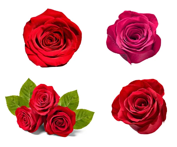 Цветочные лепестки роз цветок фон — стоковое фото