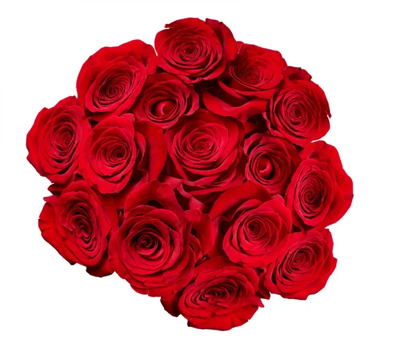 Bloem roos bloemblaadje bloesem rood natuur mooi achtergrond — Stockfoto