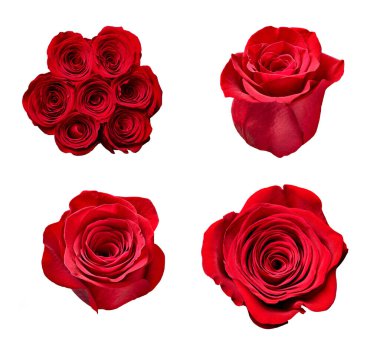 çiçek yaprağı çiçek arkaplanı