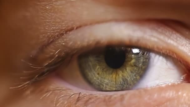 Macro close-up eye blinking eyelashes child — Stock Video