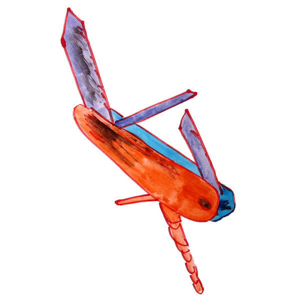 рисование детей акварельный нож, карманный мультфильм на белом берегу
