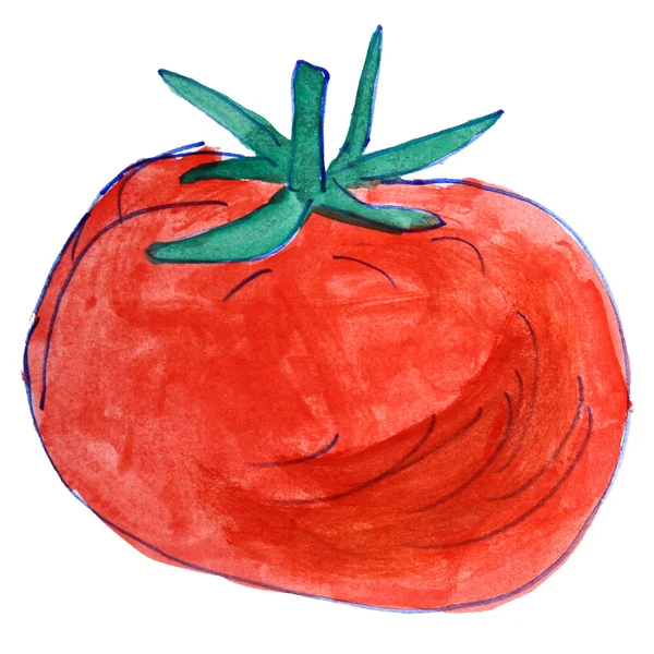 Aquarela desenho crianças desenho animado tomate no fundo branco — Fotografia de Stock