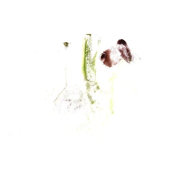 Abstraktní hnědá, zelená kresba tah inkoust akvarel štětec voda — Stock fotografie