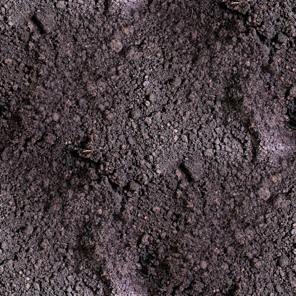 dirt seamless texture  soil land  texture terra background