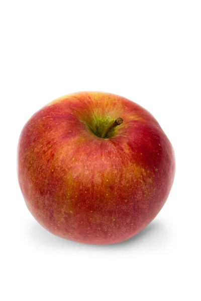 Red garden apple on white background — Stock Photo, Image