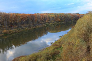 Sarı sonbahar ormanda Rus nehir manzara