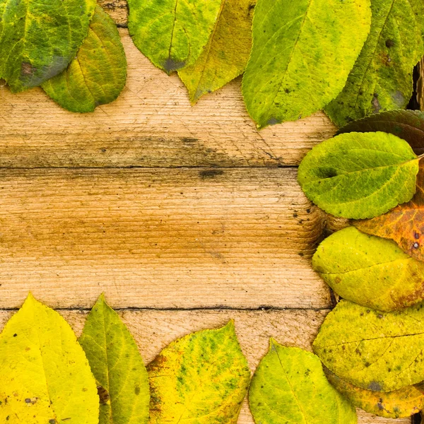 Texture autumn Period of yellow leaves and wood — Stock Photo, Image