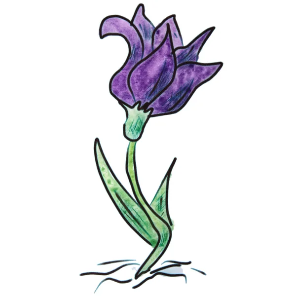 白い背景で隔離の水彩花ライラック漫画図 — ストック写真