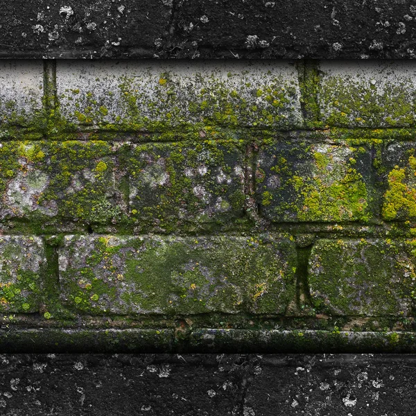 Moss old green wall stone pattern mold texture — Stock Photo, Image