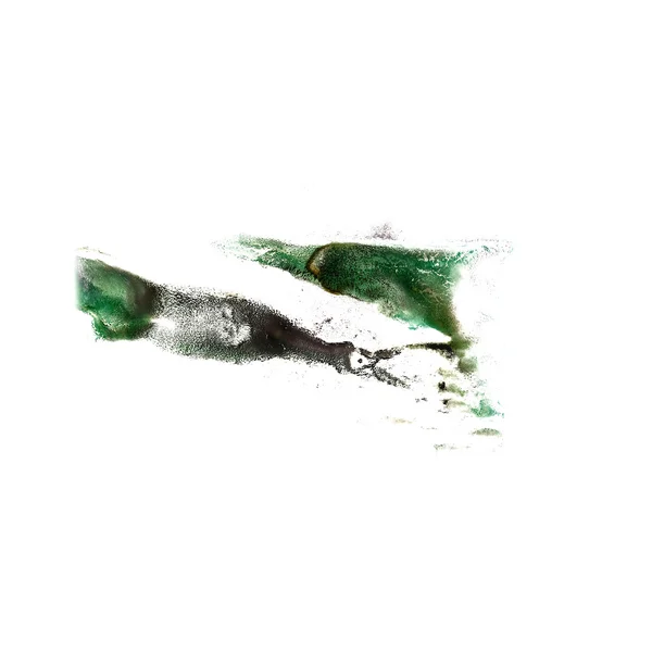 Иллюстрация развода Зелёный художник ручной работы изолирован — стоковое фото