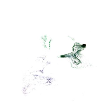 Leke yeşil, işlemeli, kahverengi boşanma illüstrasyon sanatçısı ISO