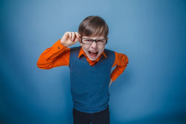 在棕色的头发复古 d 中的十二个欧洲出现的少年男孩 — 图库照片