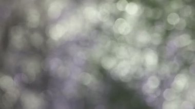 ışık gri gümüş bokeh, bulanıklık, yılbaşı, christmas doku hareketli video