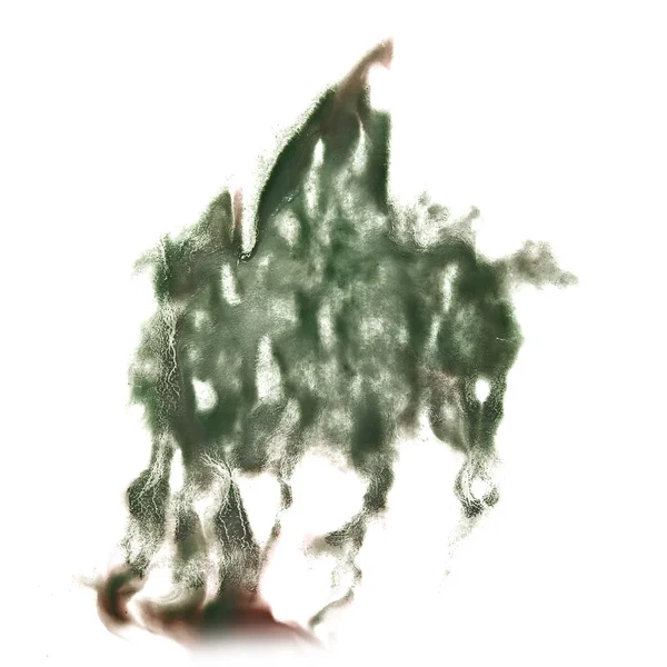 Marsh abstraktní ručně tažené akvarel skvrnou urážku Rorschach psychologie — Stock fotografie