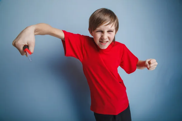 Boy teenager European appearance in a red shirt holding a brown — Stock Photo, Image