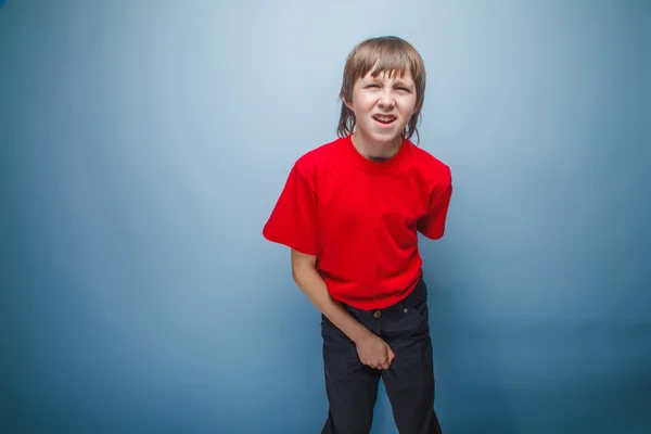 Adolescente chico en rojo camiseta europeo apariencia marrón pelo sostiene —  Fotos de Stock