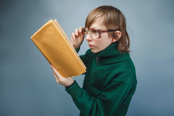 Ragazzo europeo di dieci anni con gli occhiali che legge un libro su — Foto Stock