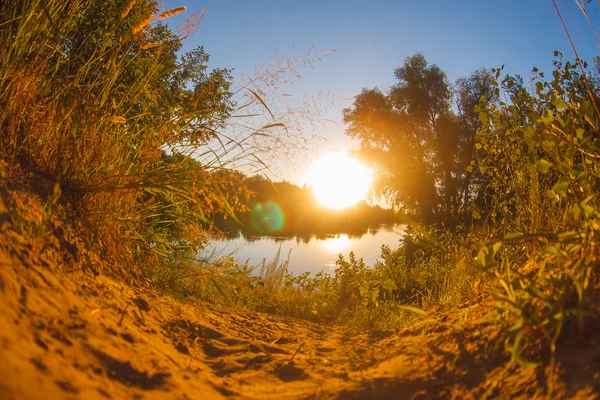 Camino de hierba de arena baja al lago del río al atardecer el sol se —  Fotos de Stock