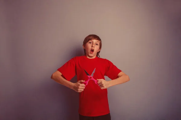 Jongen, tiener, twaalf jaar in het rode shirt houdt van paar — Stockfoto