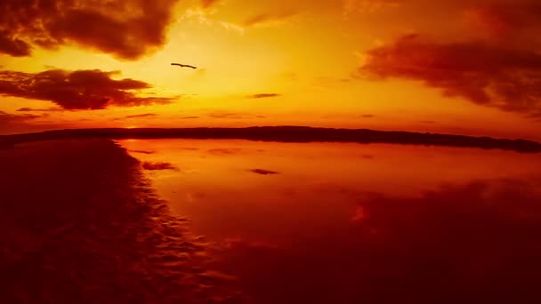 Playa de arena naranja y el lago del río en el sol de fondo y hermosas nubes bosque paisaje naturaleza agua — Vídeo de stock