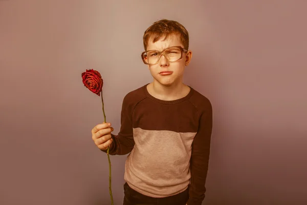 Chico de aspecto europeo de diez años en vasos sosteniendo un flowe seco —  Fotos de Stock