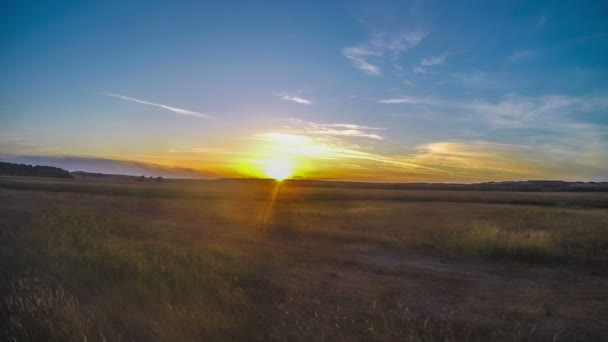 Timelapse manzara günbatımı alan doğa güneş çayır çim güzel turuncu günbatımı bulutlar Rüzgar kıpırdanırken ayarlar — Stok video
