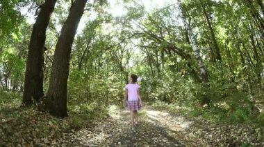Orman bir sonbahar orman yeşil doğa yolda yürüyen bir genç kız