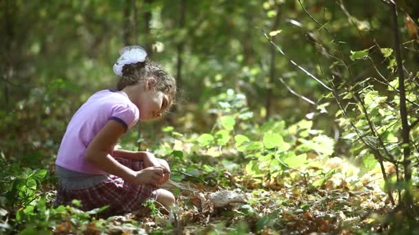 森の緑の背景に野生のきのこ研究太陽の下で座っている十代の少女 — ストック動画