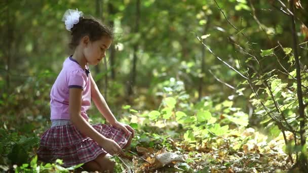 Dziewczyna siedzi w dziki grzyb badań sunlight na zielonym tle w lesie — Wideo stockowe