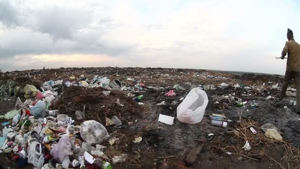 ダンプの無職の男は埋め立て地の社会的ビデオでホームレス汚い見る食品廃棄物 — ストック動画