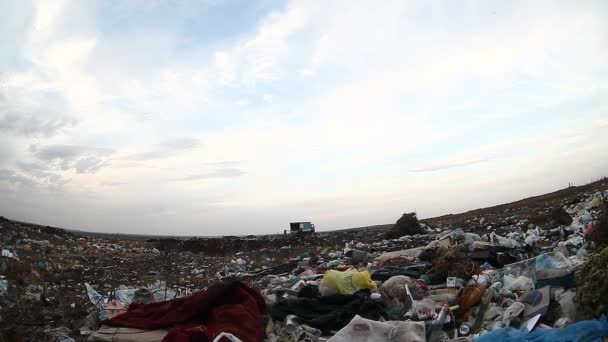 Homme sans-abri sans-abri sale recherche décharge déchets alimentaires dans la décharge vidéo sociale — Video